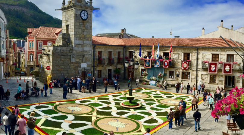 Alfombras florais 2018