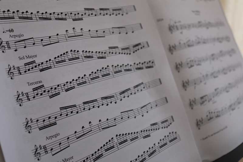 O pasado luns día 17 de setembro tivo lugar o inicio do novo curso no Conservatorio de Música da Guarda, un ano especial polo aumento de matriculacións, quedando cubertas a totalidade das prazas ofertadas nos diferentes grupos, coma Percusión, frauta travesera, clarinete, saxofón, gaita, violín, viola, piano, guitarra clásica e eléctrica, trompeta, trompa, trombón e tuba.