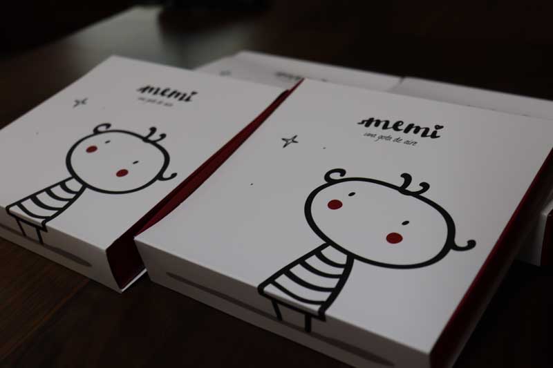 Este venres día 15 de marzo de 2019 o Concello da Guarda acolleu a presentación do Proxecto «Memi, una gota de aire», contando con representantes das bibliotecas escolares da vila.