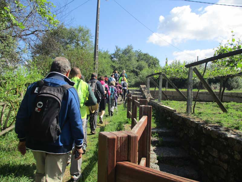 A PR-G171 Ruta Da Pedra e da Auga e do Río San Martiño, transcorre polo concello de Meis, onde os participantes percorreron un total de 20km de distancia comezando e rematando a ruta no mosteiro cisterciense de Armenteira.