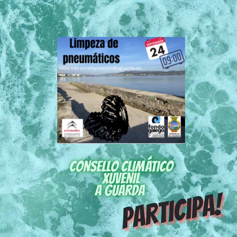 O Consello Climático Asesor Xuvenil da Guarda organiza unha recollida de pneumáticos no Río Miño