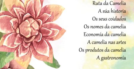 WhatsApp Image 2026 03 24 At 14.11.33