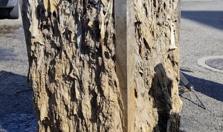 O Concello da Guarda fai un chamamento á veciñana para evitar o vertido de toallitas e outros residuos polo inodoro