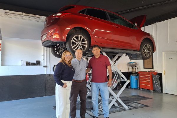 VISITA DIAGNOSTIKA GARAGE (2)