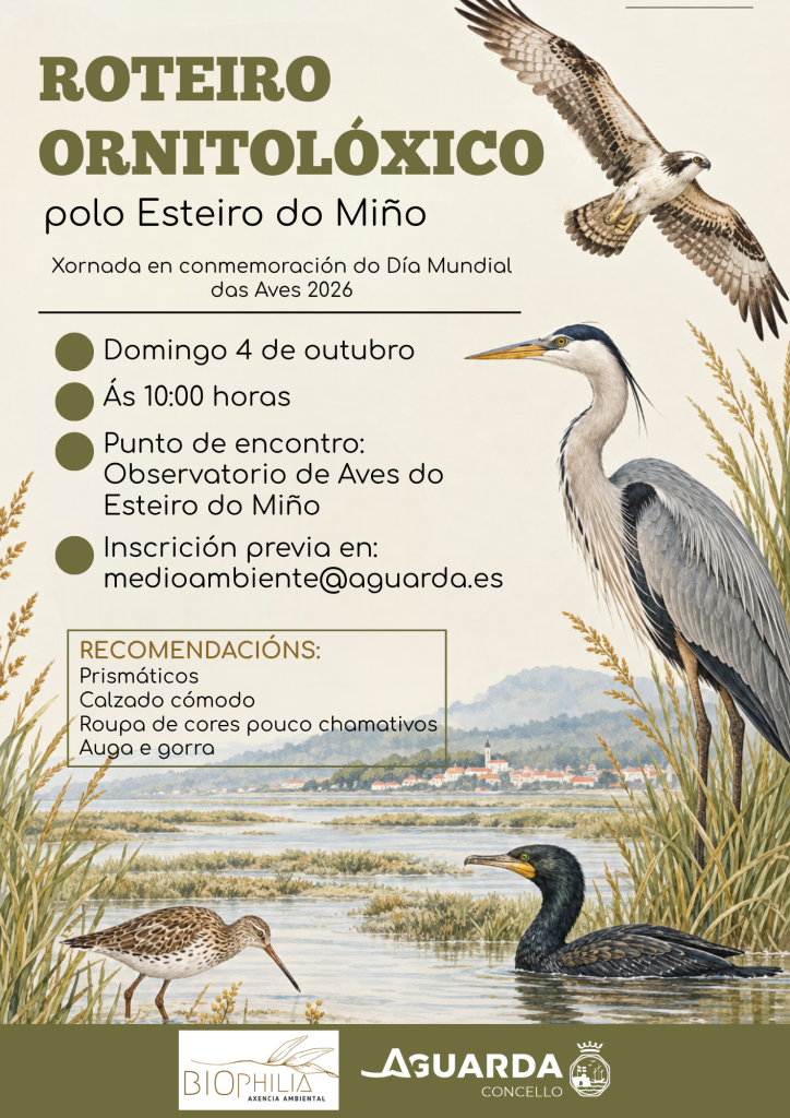 O Concello da Guarda conmemora o día mundial das aves cun roteiro ornitolóxico polo Esteiro do Miño