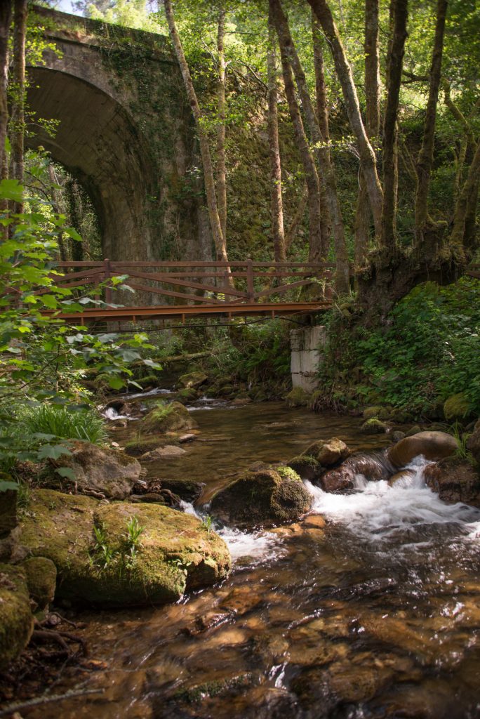 Últimos días para inscribirse na andaina por Ourense coa que se pechan as andainas 2026 organizadas polo Concello da Guarda